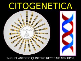 3-2010 CITOGENETICA, DOWN Y TURNER 03.ppt