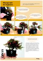 Bonsai Step by step.pdf