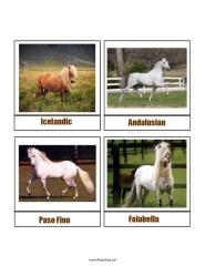 montessori horse breed cards set 2.pdf