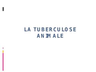 LA TUBERCULOSE ANIMALE.pptx